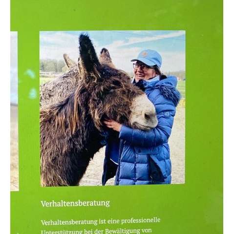 Hundeauslaufgebiet-DogMind Münsterland-Bild