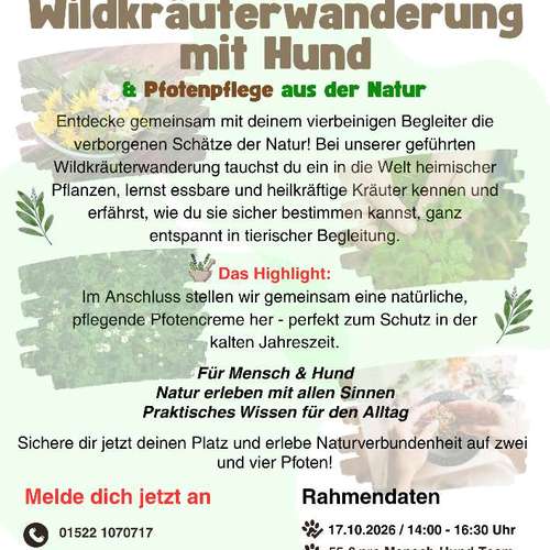 Hundeauslaufgebiet-Hundeschule Anja Graap-Bild
