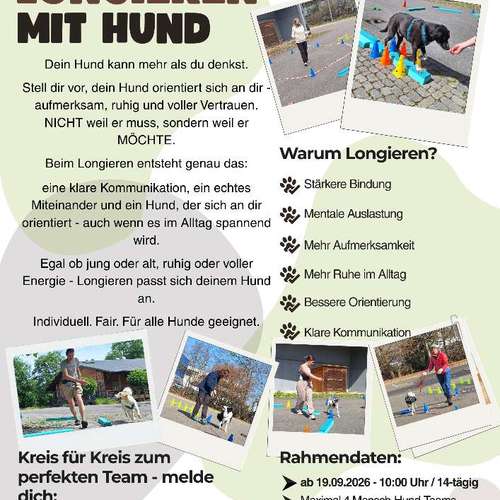 Hundeauslaufgebiet-Hundeschule Anja Graap-Bild