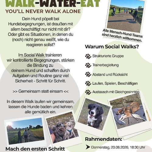 Hundeauslaufgebiet-Hundeschule Anja Graap-Bild