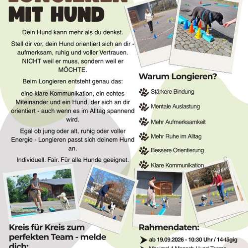 Hundeauslaufgebiet-Hundeschule Anja Graap-Bild