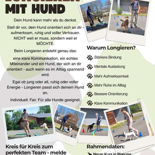 Hundeauslaufgebiet-Hundeschule Anja Graap-Bild