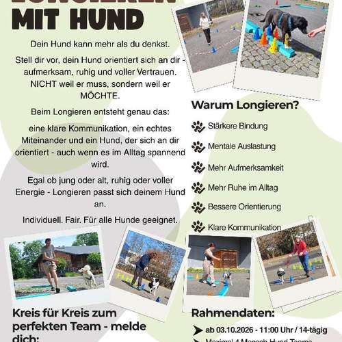 Hundeauslaufgebiet-Hundeschule Anja Graap-Bild