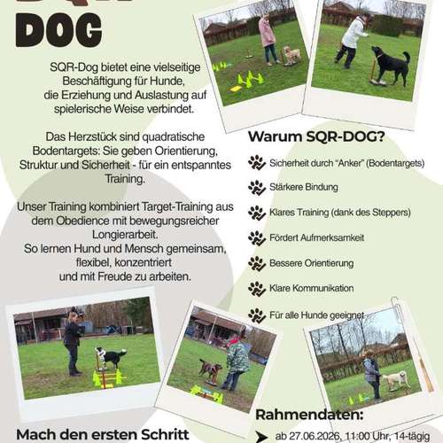 Hundeauslaufgebiet-Hundeschule Anja Graap-Bild