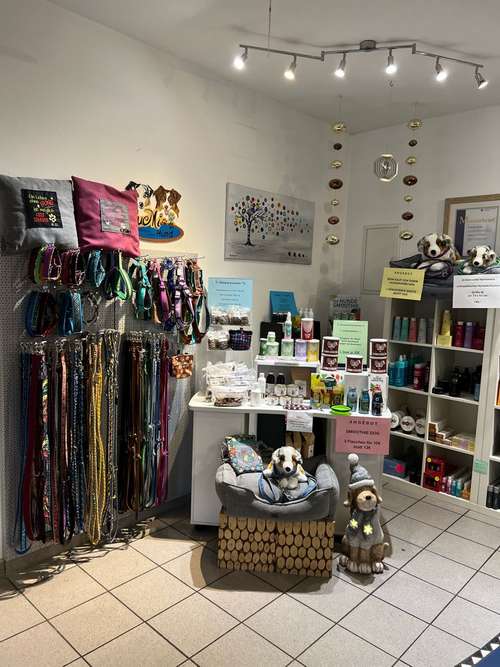 Hundeauslaufgebiet-LuMi-Flechtwerkstatt-Bild