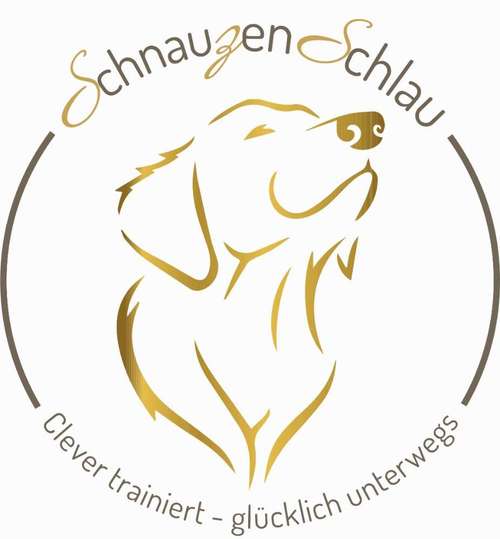 Hundeauslaufgebiet-Hundeschule SchnauzenSchlau-Bild