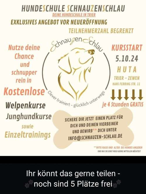 Hundeauslaufgebiet-Hundeschule SchnauzenSchlau-Bild