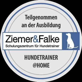 Hundeauslaufgebiet-Hundeschule SchnauzenSchlau-Bild