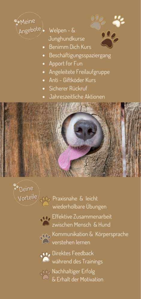 Hundeauslaufgebiet-Hundeschule SchnauzenSchlau-Bild
