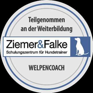 Hundeauslaufgebiet-Hundeschule SchnauzenSchlau-Bild