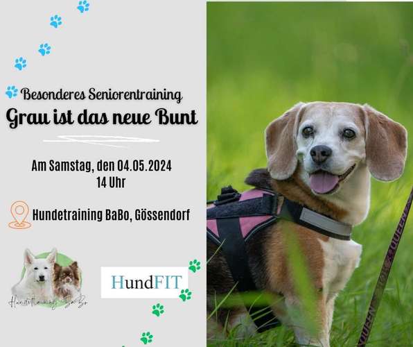 Hundeauslaufgebiet-Hundetraining BaBo-Bild