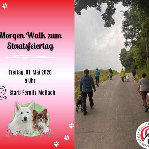 Hundeauslaufgebiet-Hundetraining BaBo-Bild