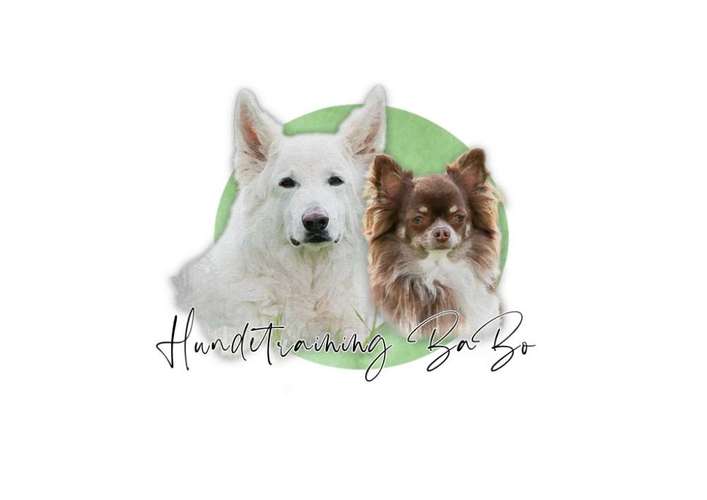 Hundeauslaufgebiet-Hundetraining BaBo-Bild