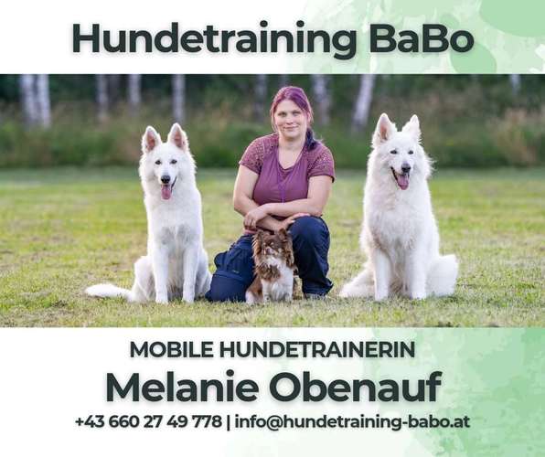 Hundeauslaufgebiet-Hundetraining BaBo-Bild