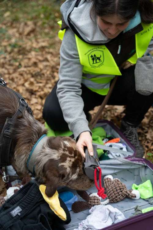 Hundeauslaufgebiet-Hundetraining BaBo-Bild