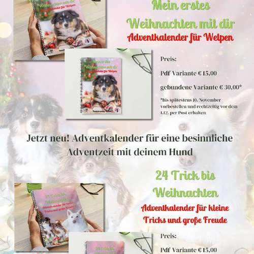 Hundeauslaufgebiet-Hundetraining BaBo-Bild
