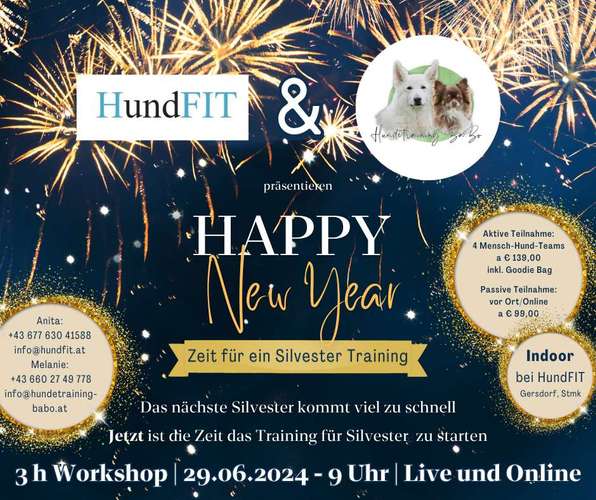 Hundeauslaufgebiet-Hundetraining BaBo-Bild