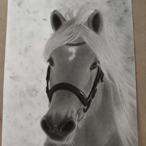 Hundeauslaufgebiet-Art by Hc Tierportraits-Bild