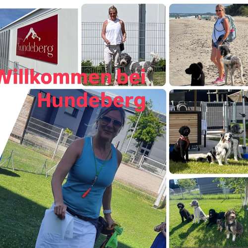 Hundeauslaufgebiet-Hundeberg-Bild