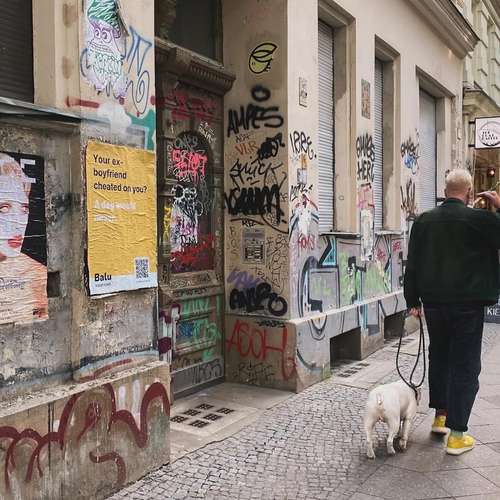 Hundeauslaufgebiet-Balu - Adopt a pet-Bild