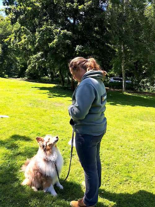 Hundeauslaufgebiet-Martin Rütter HS Koblenz-Neuwied-Bild