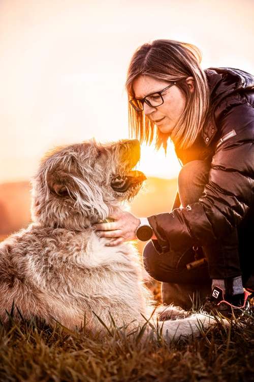 Hundeauslaufgebiet-Sophia Schempp Photography-Bild