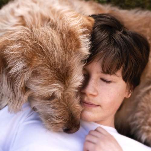 Hundeauslaufgebiet-Sophia Schempp Photography-Bild