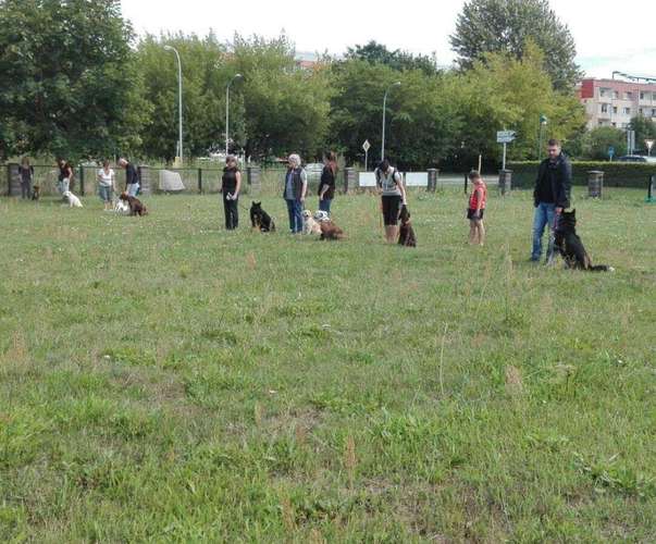 Hundeauslaufgebiet-Albrecht mobiler Hundetrainer -Bild