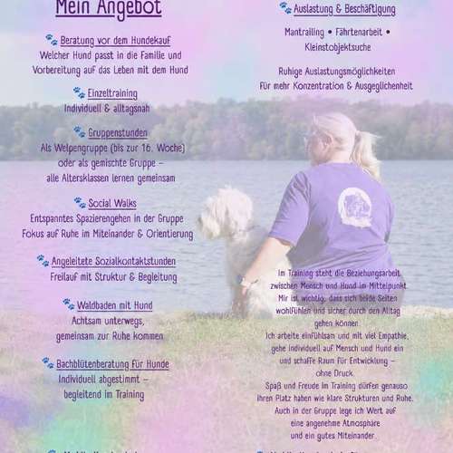 Hundeauslaufgebiet-Na(H)und Coaching -Bild
