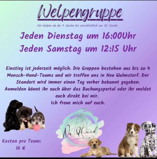 Hundeauslaufgebiet-Na(H)und Coaching -Bild