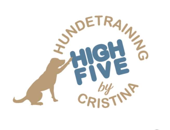 Hundeauslaufgebiet-High-Five Hundetraining-Bild