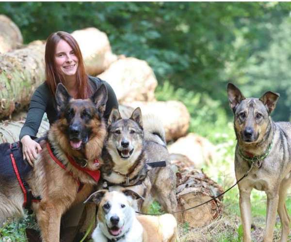 Hundeauslaufgebiet-Hundepsychologie Sarah-Lena Jaudzin-Bild