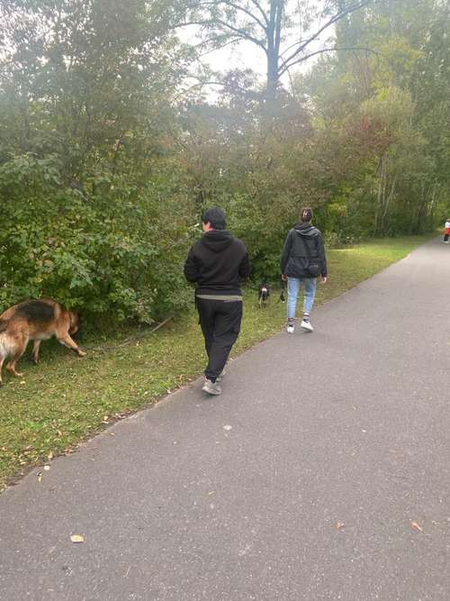 Hundeauslaufgebiet-Lingubello-Bild