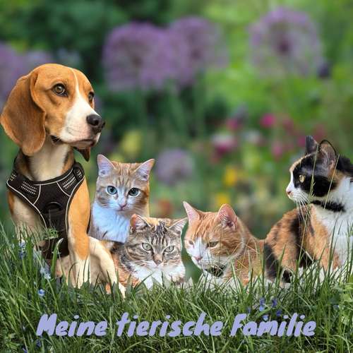 Hundeauslaufgebiet-KatzHundZeit-Bild