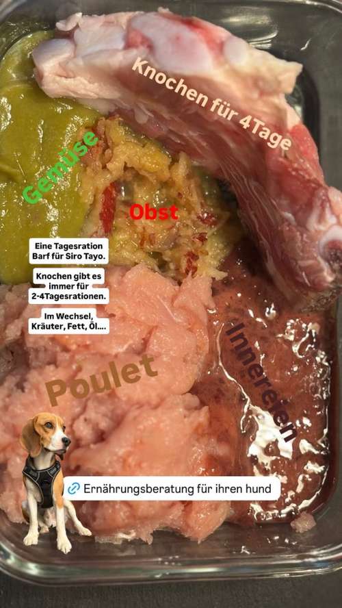 Hundeauslaufgebiet-KatzHundZeit-Bild