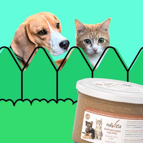 Hundeauslaufgebiet-KatzHundZeit-Bild