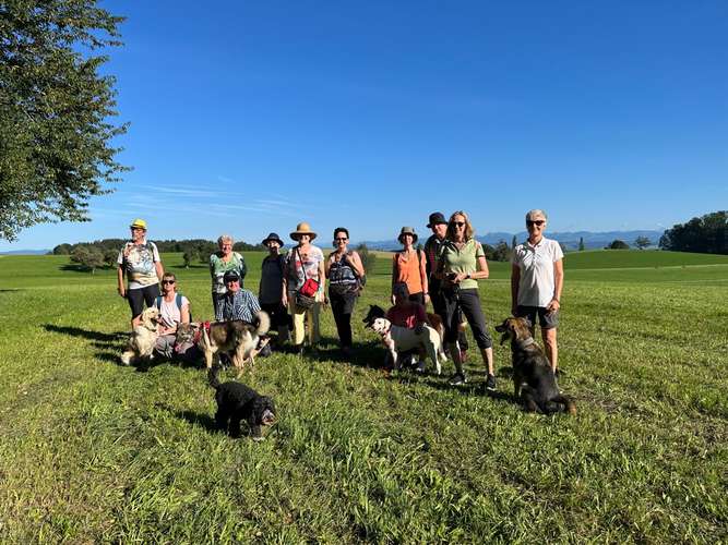 Hundeauslaufgebiet-Glücksbommels-Bild