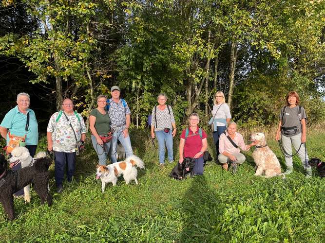 Hundeauslaufgebiet-Glücksbommels-Bild