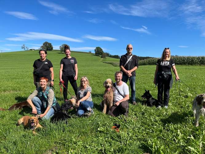 Hundeauslaufgebiet-Glücksbommels-Bild