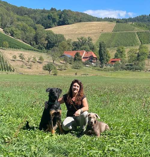 Hundeauslaufgebiet-Martin Rütter Hundeschule Freiburg/Emmending-Bild