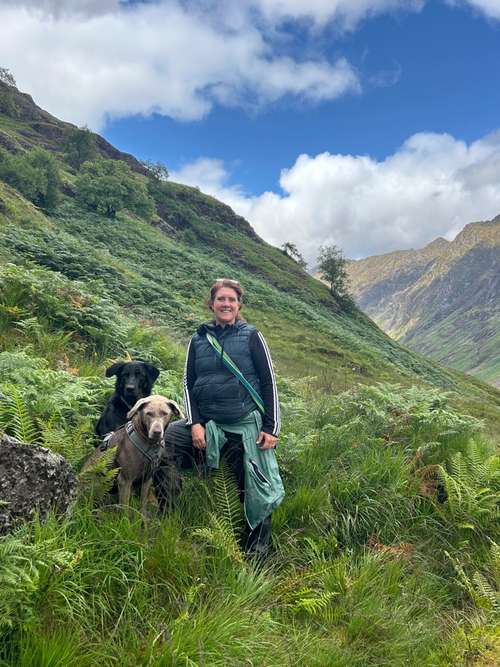 Hundeauslaufgebiet-Martin Rütter Hundeschule Freiburg/Emmending-Bild