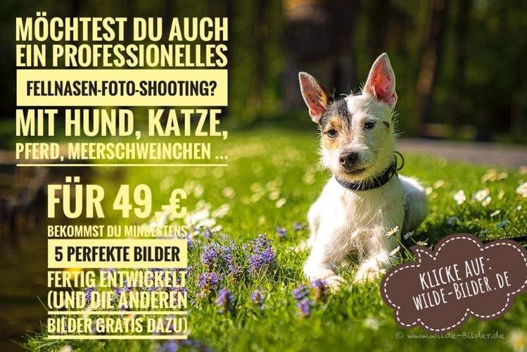 Hundeauslaufgebiet-wilde-Bilder.de-Bild