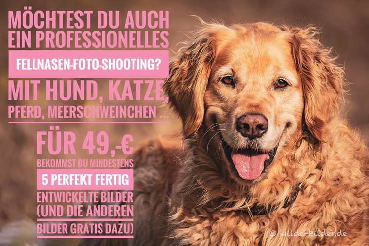 Hundeauslaufgebiet-wilde-Bilder.de-Bild