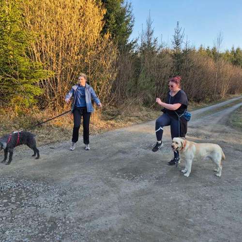Hundeauslaufgebiet-Fit mit 4Pfoten-Bild