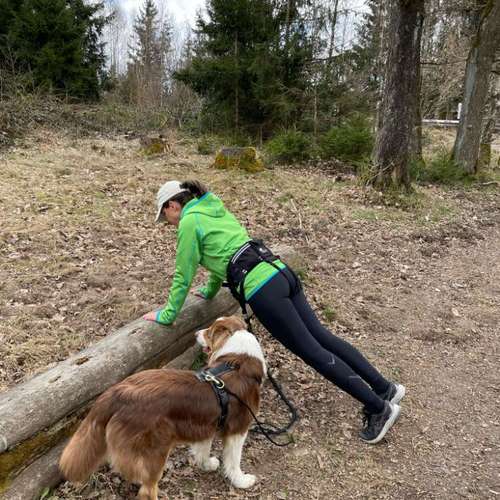 Hundeauslaufgebiet-Fit mit 4Pfoten-Bild