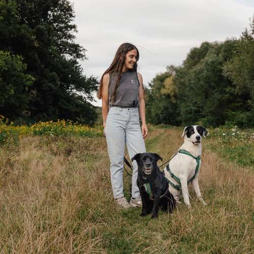 Hundeauslaufgebiet-Dogminded-Bild