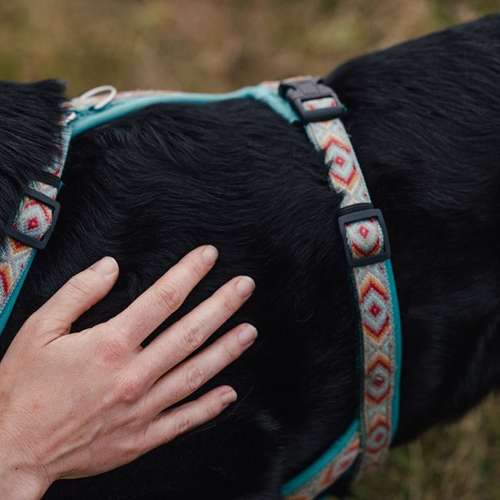 Hundeauslaufgebiet-Dogminded-Bild