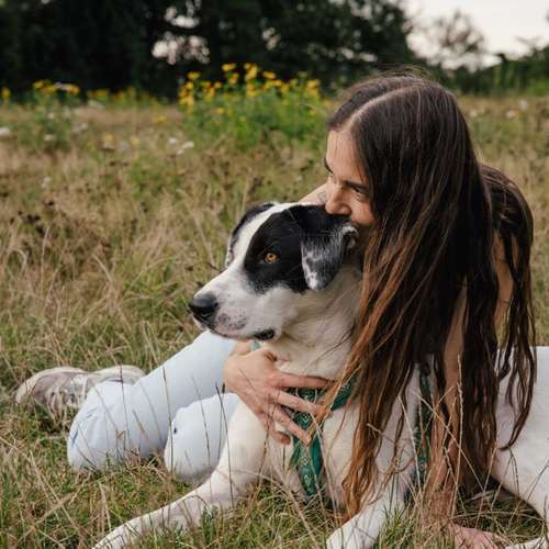 Hundeauslaufgebiet-Dogminded-Bild