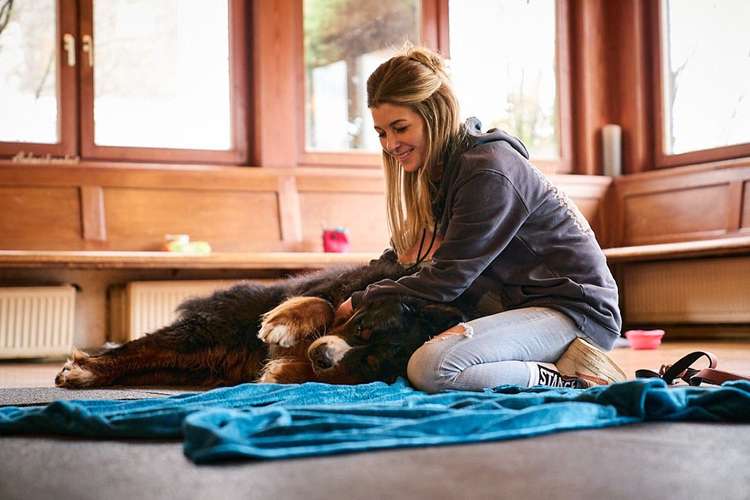 Hundeauslaufgebiet-Hundsdog Hundetraining-Bild