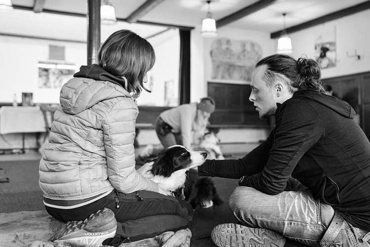 Hundeauslaufgebiet-Hundsdog Hundetraining-Bild